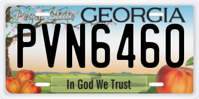 GA license plate PVN6460