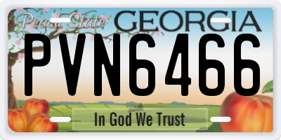 GA license plate PVN6466