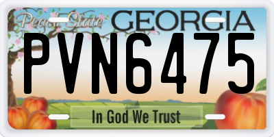 GA license plate PVN6475