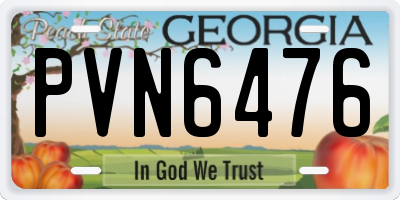 GA license plate PVN6476