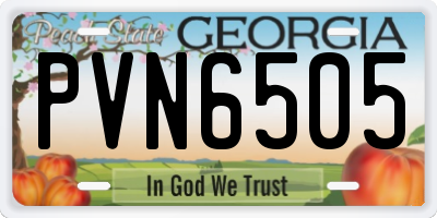 GA license plate PVN6505