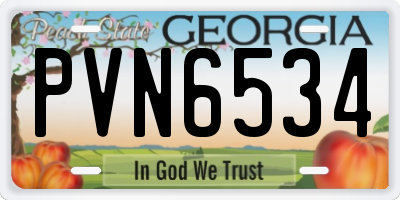 GA license plate PVN6534