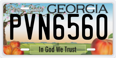 GA license plate PVN6560