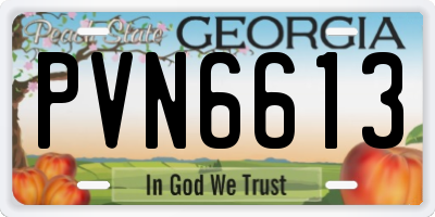 GA license plate PVN6613