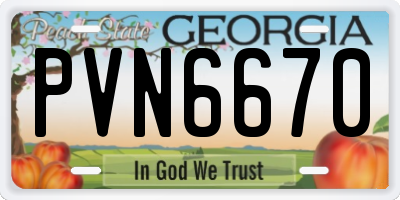 GA license plate PVN6670