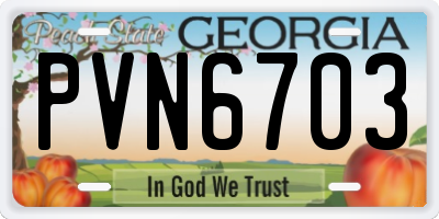 GA license plate PVN6703