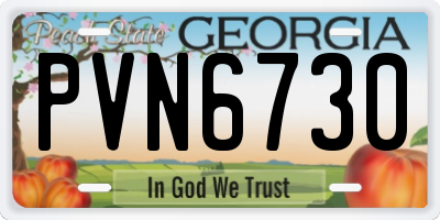 GA license plate PVN6730