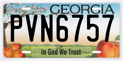 GA license plate PVN6757