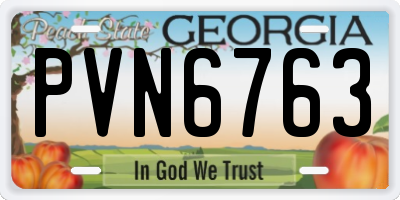 GA license plate PVN6763
