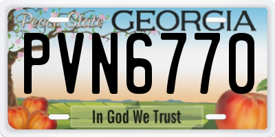 GA license plate PVN6770