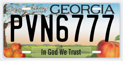 GA license plate PVN6777