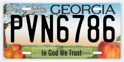 GA license plate PVN6786