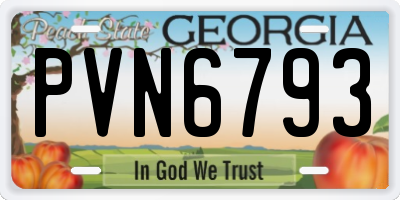 GA license plate PVN6793