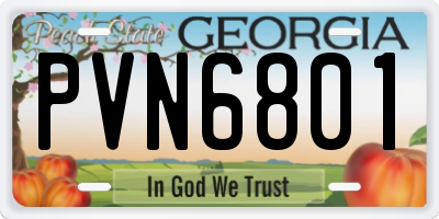 GA license plate PVN6801