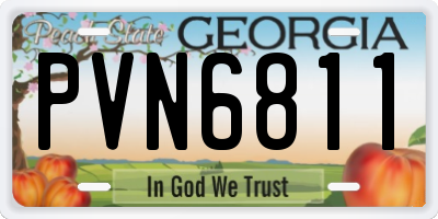 GA license plate PVN6811