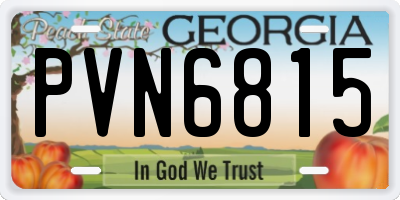 GA license plate PVN6815