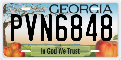 GA license plate PVN6848