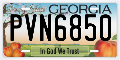 GA license plate PVN6850