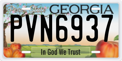 GA license plate PVN6937