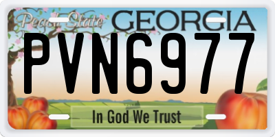GA license plate PVN6977
