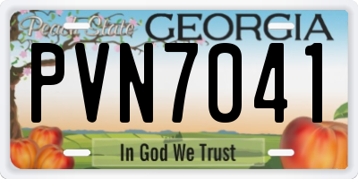 GA license plate PVN7041