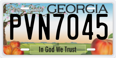 GA license plate PVN7045