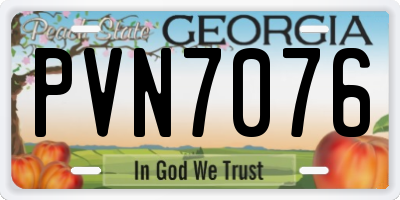 GA license plate PVN7076