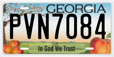 GA license plate PVN7084
