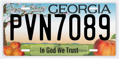 GA license plate PVN7089