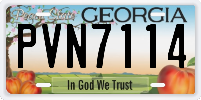 GA license plate PVN7114