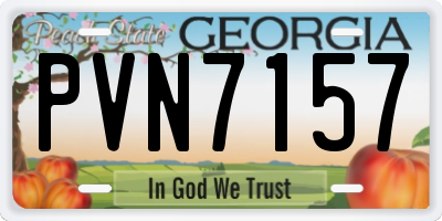 GA license plate PVN7157