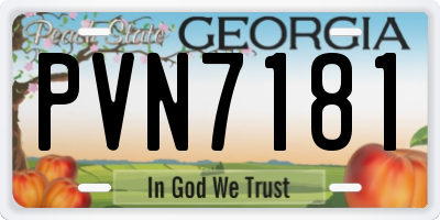 GA license plate PVN7181