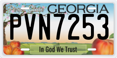 GA license plate PVN7253