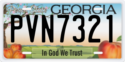 GA license plate PVN7321