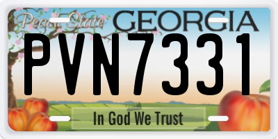GA license plate PVN7331