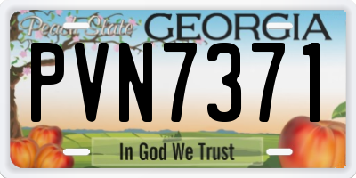 GA license plate PVN7371