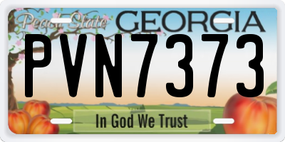 GA license plate PVN7373