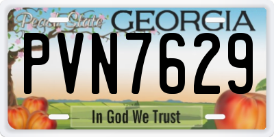 GA license plate PVN7629