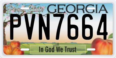 GA license plate PVN7664