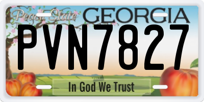 GA license plate PVN7827