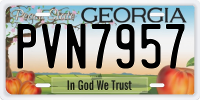 GA license plate PVN7957