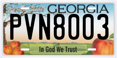 GA license plate PVN8003