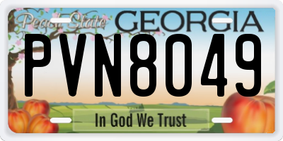 GA license plate PVN8049