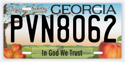 GA license plate PVN8062