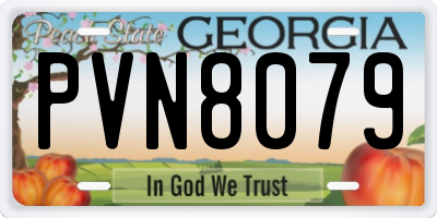 GA license plate PVN8079