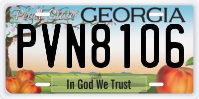 GA license plate PVN8106