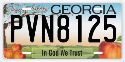 GA license plate PVN8125
