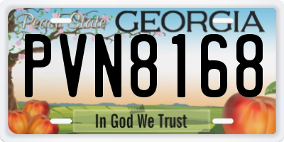 GA license plate PVN8168