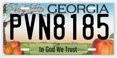 GA license plate PVN8185
