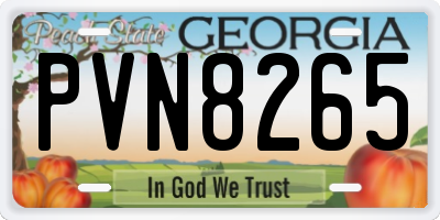 GA license plate PVN8265
